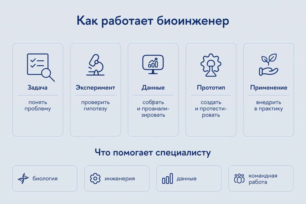 Алгоритм работы специалиста